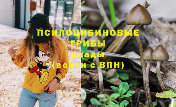 таблы Алексеевка