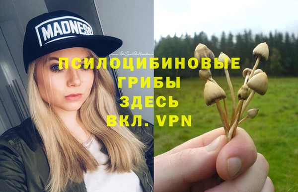 таблы Алексеевка